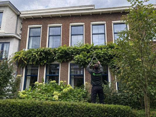 Groenonderhoud